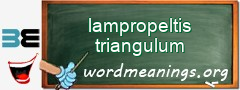 WordMeaning blackboard for lampropeltis triangulum